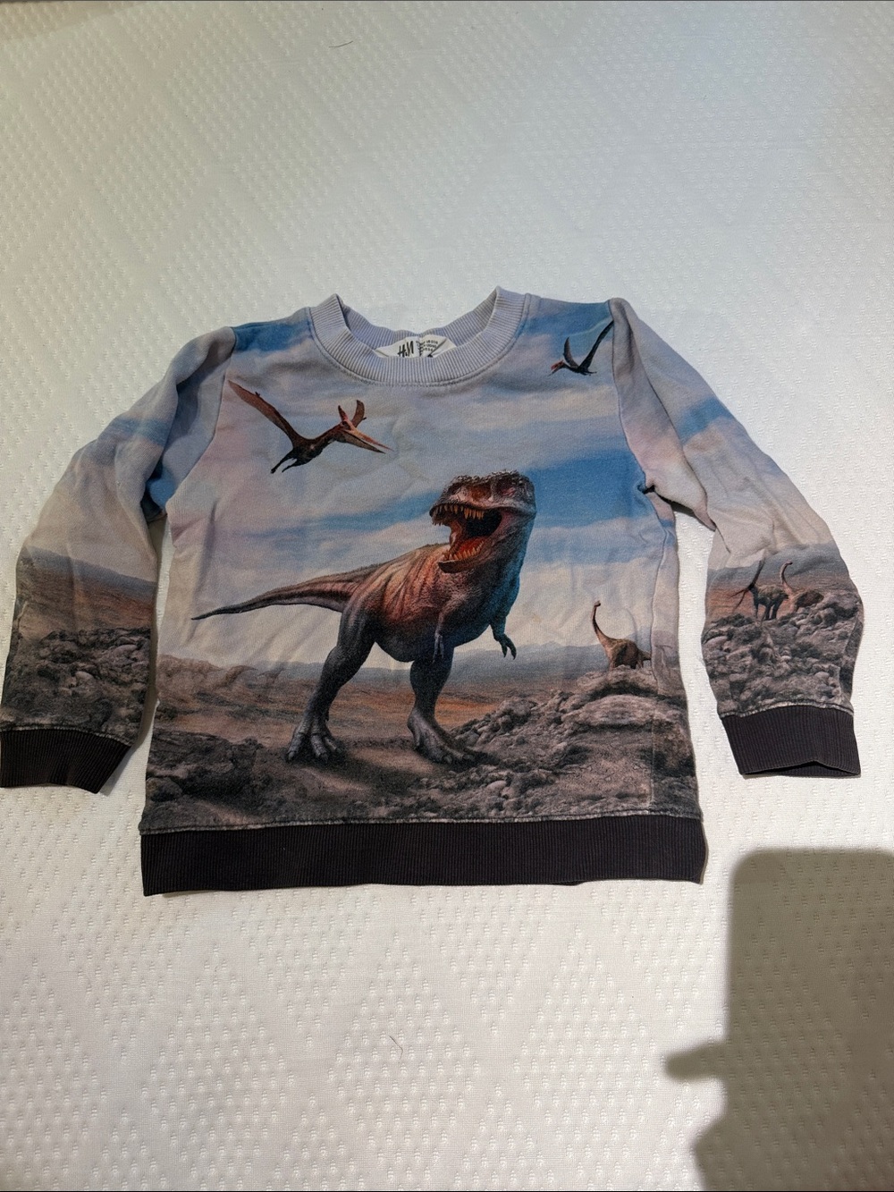 H&M Boys Dinosaur Graphic Sweatshirt in Blue and Gray
